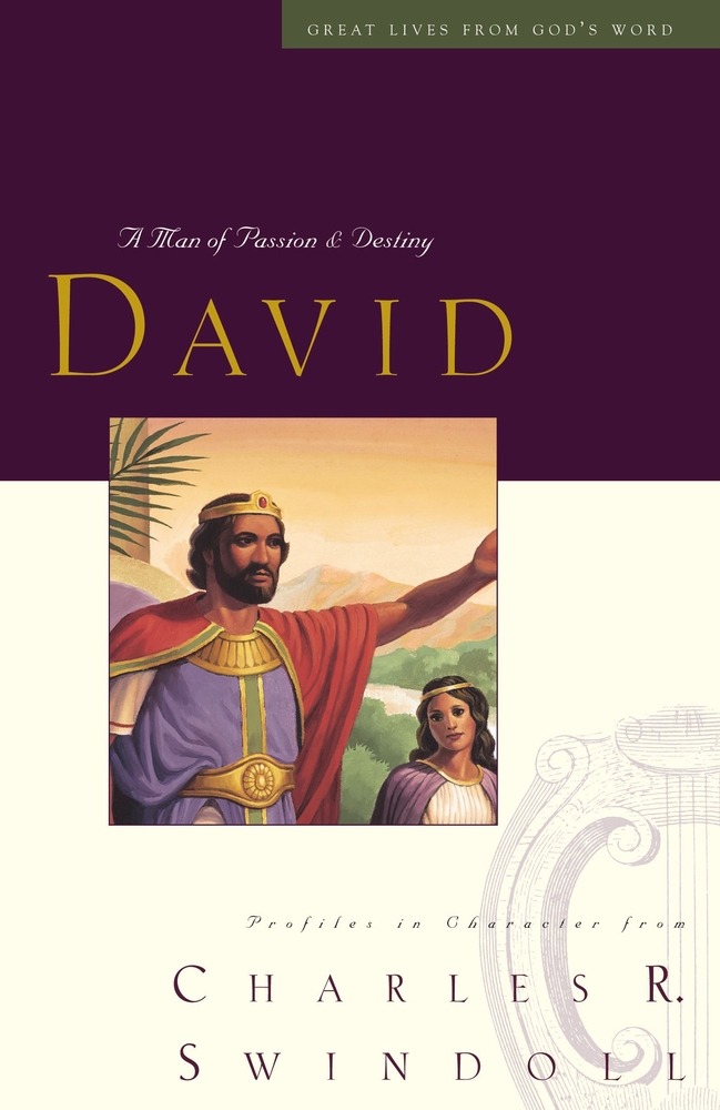 David A Man Of Passion And Destiny The Bible Outlet
