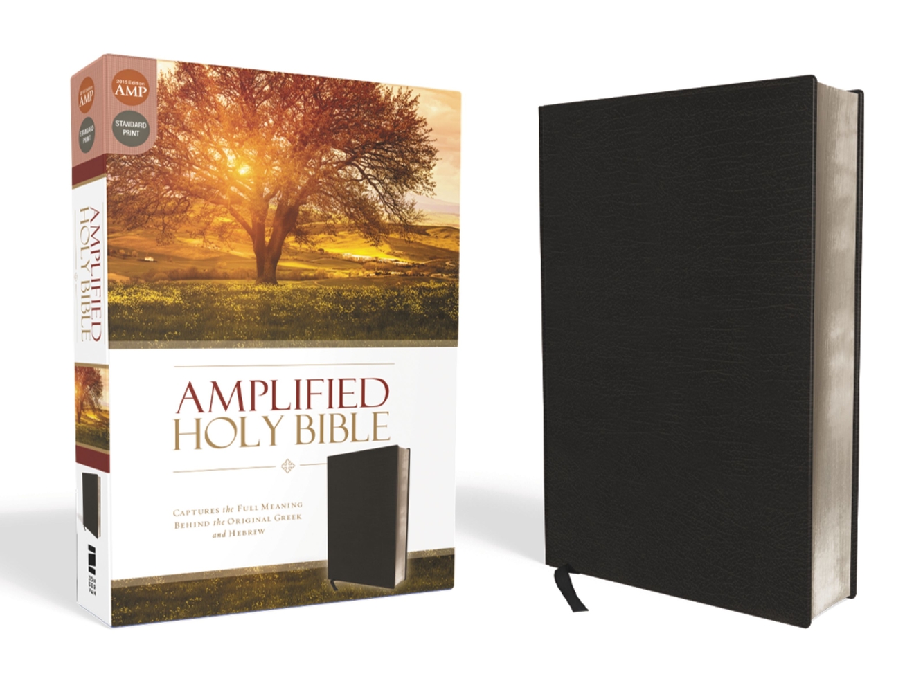 amplified-bible-am-captures-the-full-meaning-behind-the-original-greek